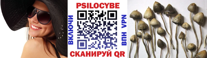 Псилоцибиновые грибы Psilocybe  Красково 